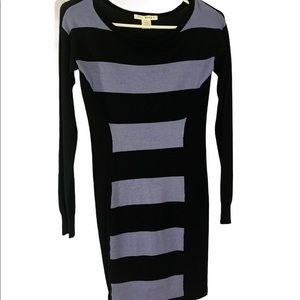 Purple and Black Striped Long Sleeve Mini Dress